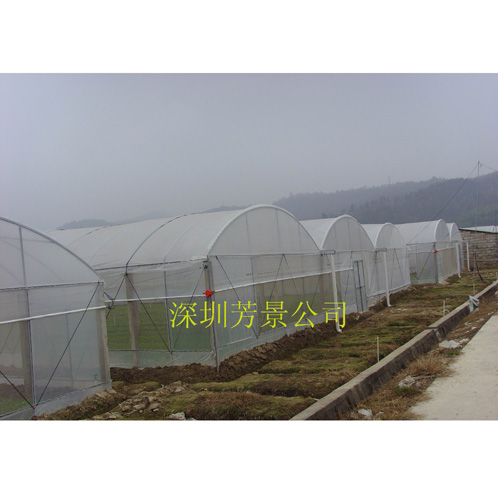園拱溫室
